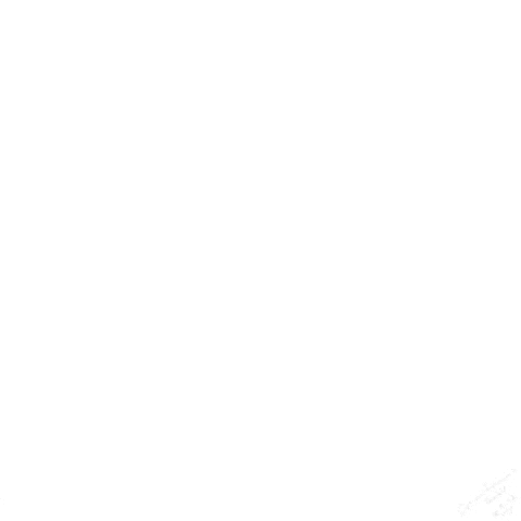 30.gif